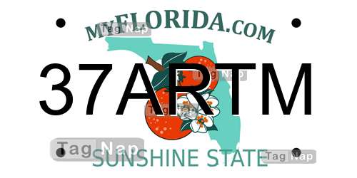 37ARTM Florida License Plate Lookup