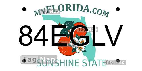 84EGLV Florida License Plate Lookup