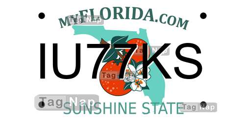 IU77KS Florida License Plate Lookup