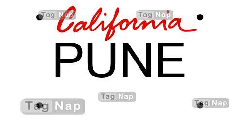 PUNE California License Plate Lookup